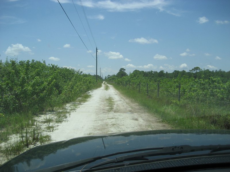 Tower Road.jpg